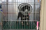 CAGE DE REPOS 005